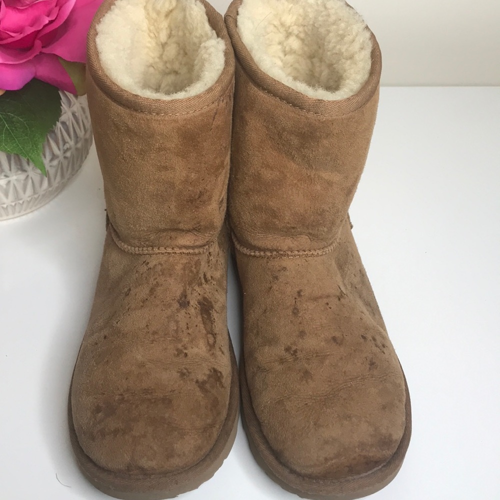 UGG ankle boots